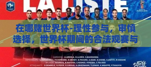 在哪赌世界杯-理性参与，审慎选择，世界杯期间的合法观赛与娱乐方式