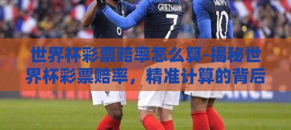 世界杯彩票赔率怎么算-揭秘世界杯彩票赔率，精准计算的背后
