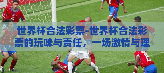 世界杯合法彩票-世界杯合法彩票的玩味与责任，一场激情与理性的交锋