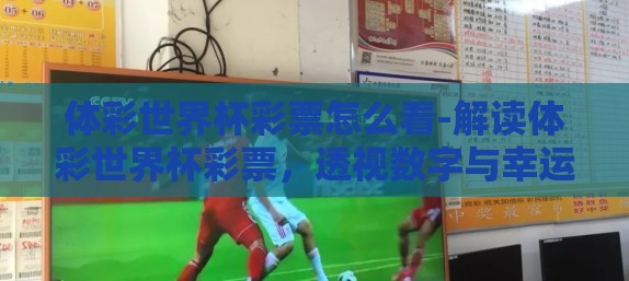 体彩世界杯彩票怎么看-解读体彩世界杯彩票，透视数字与幸运的玄妙