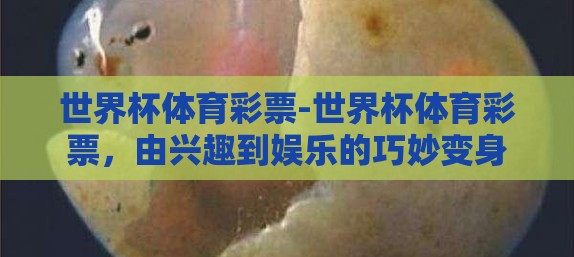 世界杯体育彩票-世界杯体育彩票，由兴趣到娱乐的巧妙变身
