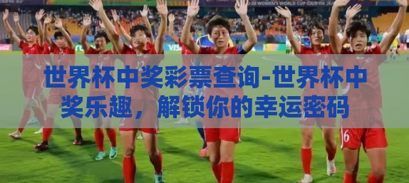 世界杯中奖彩票查询-世界杯中奖乐趣，解锁你的幸运密码