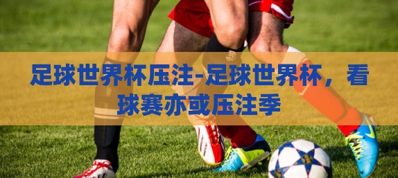 足球世界杯压注-足球世界杯，看球赛亦或压注季