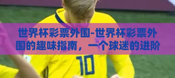 世界杯彩票外围-世界杯彩票外围的趣味指南，一个球迷的进阶探索