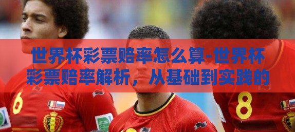 世界杯彩票赔率怎么算-世界杯彩票赔率解析,从基础到实践的全面探索 世界杯彩票赔率怎么算-世界杯彩票赔率解析,从基础到实践的全面探索