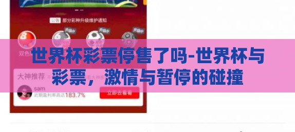 世界杯彩票停售了吗-世界杯与彩票，激情与暂停的碰撞