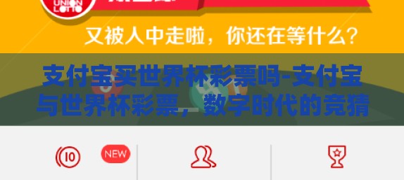 支付宝买世界杯彩票吗-支付宝与世界杯彩票，数字时代的竞猜新潮流