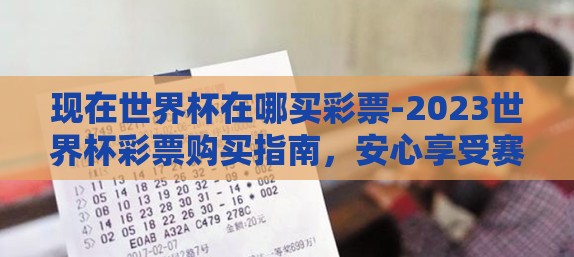 现在世界杯在哪买彩票-2023世界杯彩票购买指南，安心享受赛事激情与幸运在线投注
