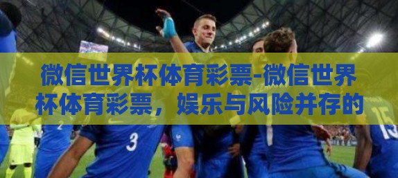 微信世界杯体育彩票-微信世界杯体育彩票，娱乐与风险并存的数字新体验