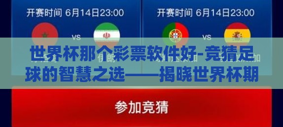 世界杯那个彩票软件好-竞猜足球的智慧之选——揭晓世界杯期间最佳彩票软件