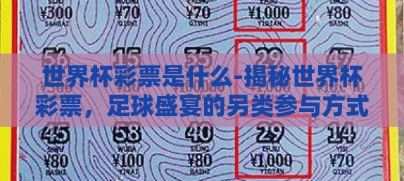 世界杯彩票是什么-揭秘世界杯彩票，足球盛宴的另类参与方式