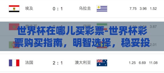 世界杯在哪儿买彩票-世界杯彩票购买指南，明智选择，稳妥投注