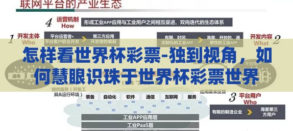 怎样看世界杯彩票-独到视角，如何慧眼识珠于世界杯彩票世界