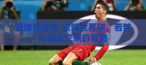 想赌世界杯-欲赌世界杯，若梦与现实交织的冒险