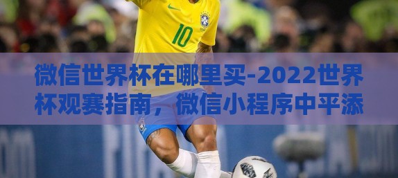 微信世界杯在哪里买-2022世界杯观赛指南，微信小程序中平添乐趣的购买通道