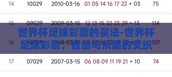 世界杯足球彩票的买法-世界杯足球彩票，智慧与乐趣的交织