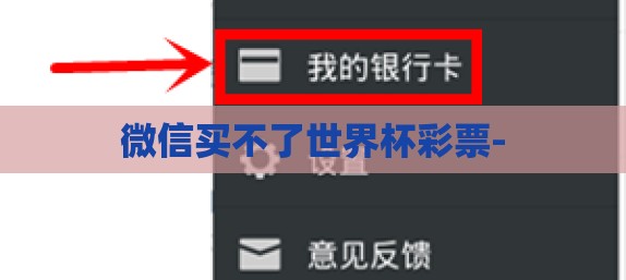 微信买不了世界杯彩票-