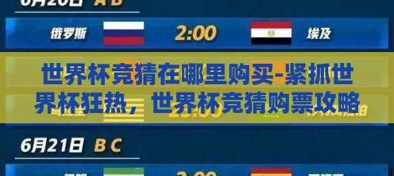世界杯竞猜在哪里购买-紧抓世界杯狂热，世界杯竞猜购票攻略指南