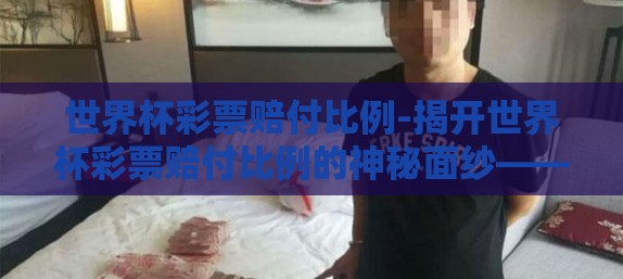 世界杯彩票赔付比例-揭开世界杯彩票赔付比例的神秘面纱——探究背后的计算逻辑与策略考量