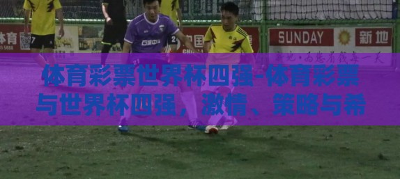 体育彩票世界杯四强-体育彩票与世界杯四强，激情、策略与希望的碰撞