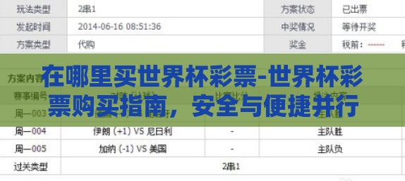 在哪里买世界杯彩票-世界杯彩票购买指南，安全与便捷并行