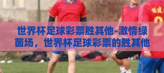 世界杯足球彩票胜其他-激情绿茵场，世界杯足球彩票的胜其他悬念