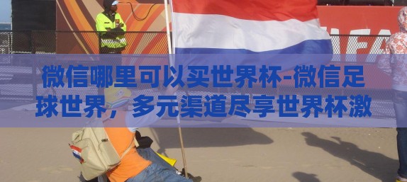 微信哪里可以买世界杯-微信足球世界，多元渠道尽享世界杯激情