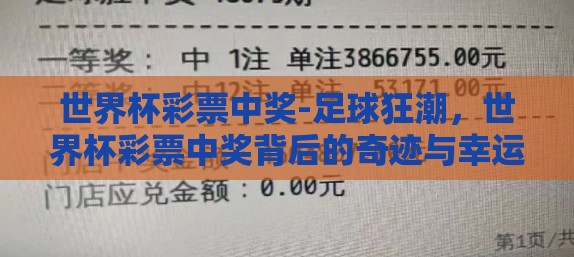 世界杯彩票中奖-足球狂潮，世界杯彩票中奖背后的奇迹与幸运