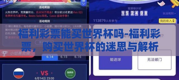 福利彩票能买世界杯吗-福利彩票，购买世界杯的迷思与解析