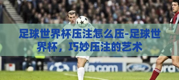足球世界杯压注怎么压-足球世界杯，巧妙压注的艺术