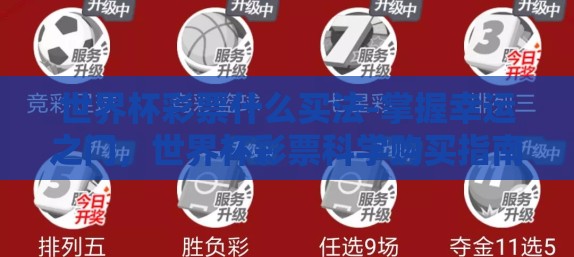 世界杯彩票什么买法-掌握幸运之门，世界杯彩票科学购买指南