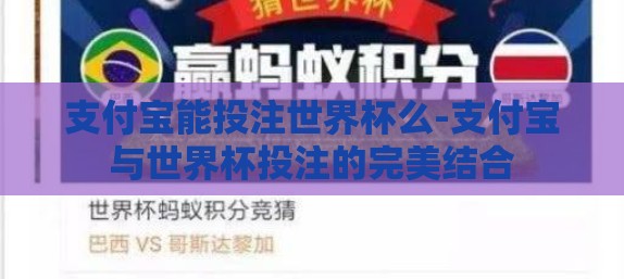 支付宝能投注世界杯么-支付宝与世界杯投注的完美结合
