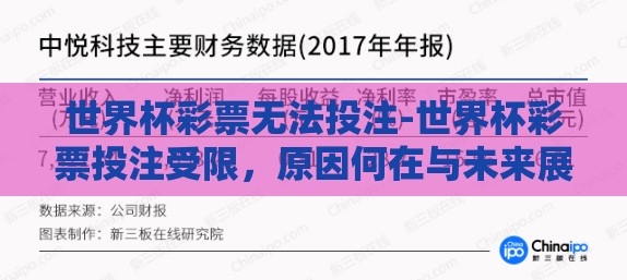 世界杯彩票无法投注-世界杯彩票投注受限，原因何在与未来展望