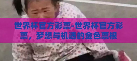 世界杯官方彩票-世界杯官方彩票，梦想与机遇的金色票根