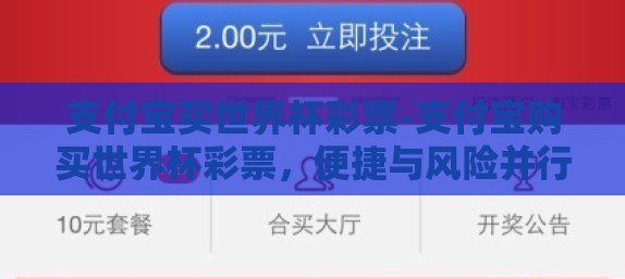 支付宝买世界杯彩票-支付宝购买世界杯彩票，便捷与风险并行的选择