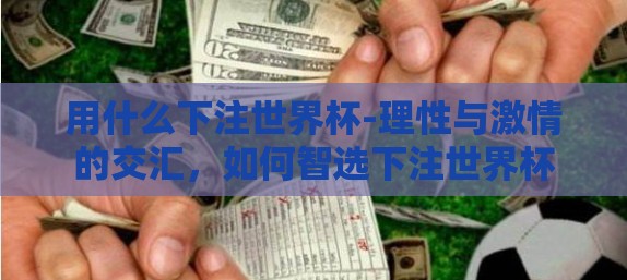 用什么下注世界杯-理性与激情的交汇，如何智选下注世界杯