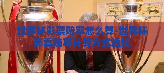 世界杯彩票赔率怎么算-世界杯彩票赔率计算方式透视 世界杯彩票赔率怎么算-世界杯彩票赔率计算方式透视