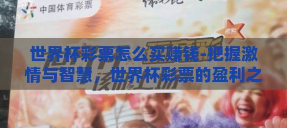 世界杯彩票怎么买赚钱-把握激情与智慧，世界杯彩票的盈利之道