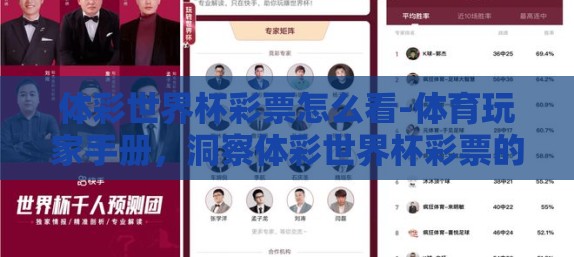 体彩世界杯彩票怎么看-体育玩家手册,洞察体彩世界杯彩票的世界 体彩世界杯彩票怎么看-体育玩家手册,洞察体彩世界杯彩票的世界