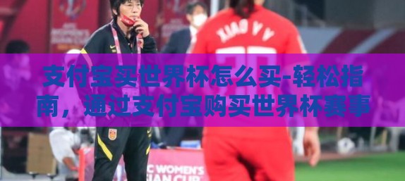 支付宝买世界杯怎么买-轻松指南，通过支付宝购买世界杯赛事观赛新体验