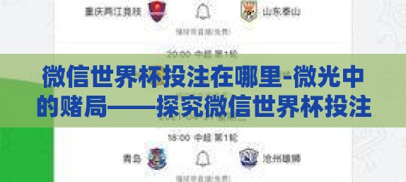 微信世界杯投注在哪里-微光中的赌局——探究微信世界杯投注的隐蔽世界