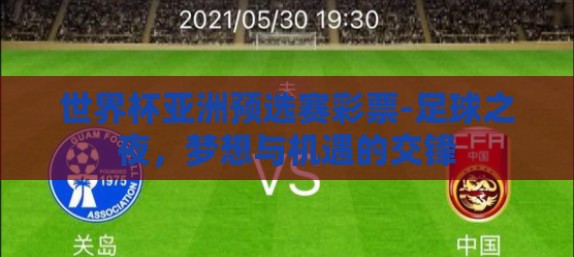 世界杯亚洲预选赛彩票-足球之夜，梦想与机遇的交锋