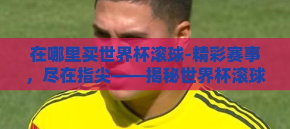 在哪里买世界杯滚球-精彩赛事，尽在指尖——揭秘世界杯滚球购买新选择
