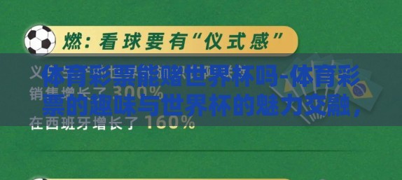 体育彩票能赌世界杯吗-体育彩票的趣味与世界杯的魅力交融，理性参与下的激情选项