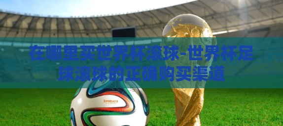 在哪里买世界杯滚球-世界杯足球滚球的正确购买渠道