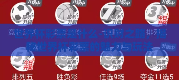 世界杯彩票是什么-识财之路，揭秘世界杯彩票的魅力与玩法