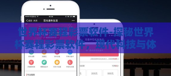 世界杯赛程彩票软件-探秘世界杯赛程彩票软件，现代科技与体育激情的交汇