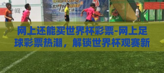 网上还能买世界杯彩票-网上足球彩票热潮，解锁世界杯观赛新体验及风险解读