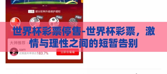世界杯彩票停售-世界杯彩票，激情与理性之间的短暂告别