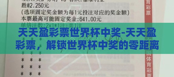 天天盈彩票世界杯中奖-天天盈彩票,解锁世界杯中奖的零距离探索 天天盈彩票世界杯中奖-天天盈彩票,解锁世界杯中奖的零距离探索